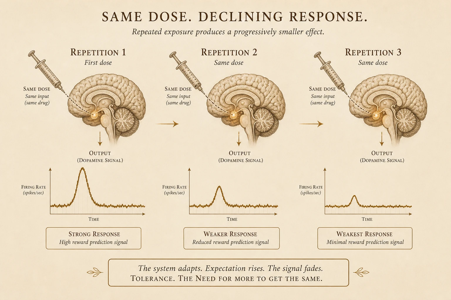 The same dose producing progressively smaller response across three repetitions.