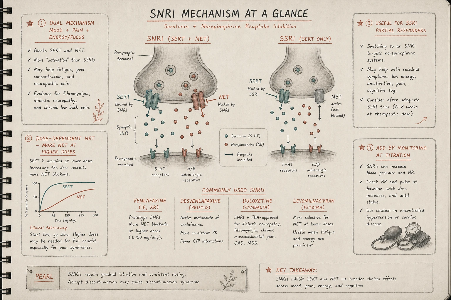 SNRIs: dual SERT + NET blockade. Mechanism shared with SSRIs (serotonin component) plus added noradrenergic effects on energy, focus, and pain processing.