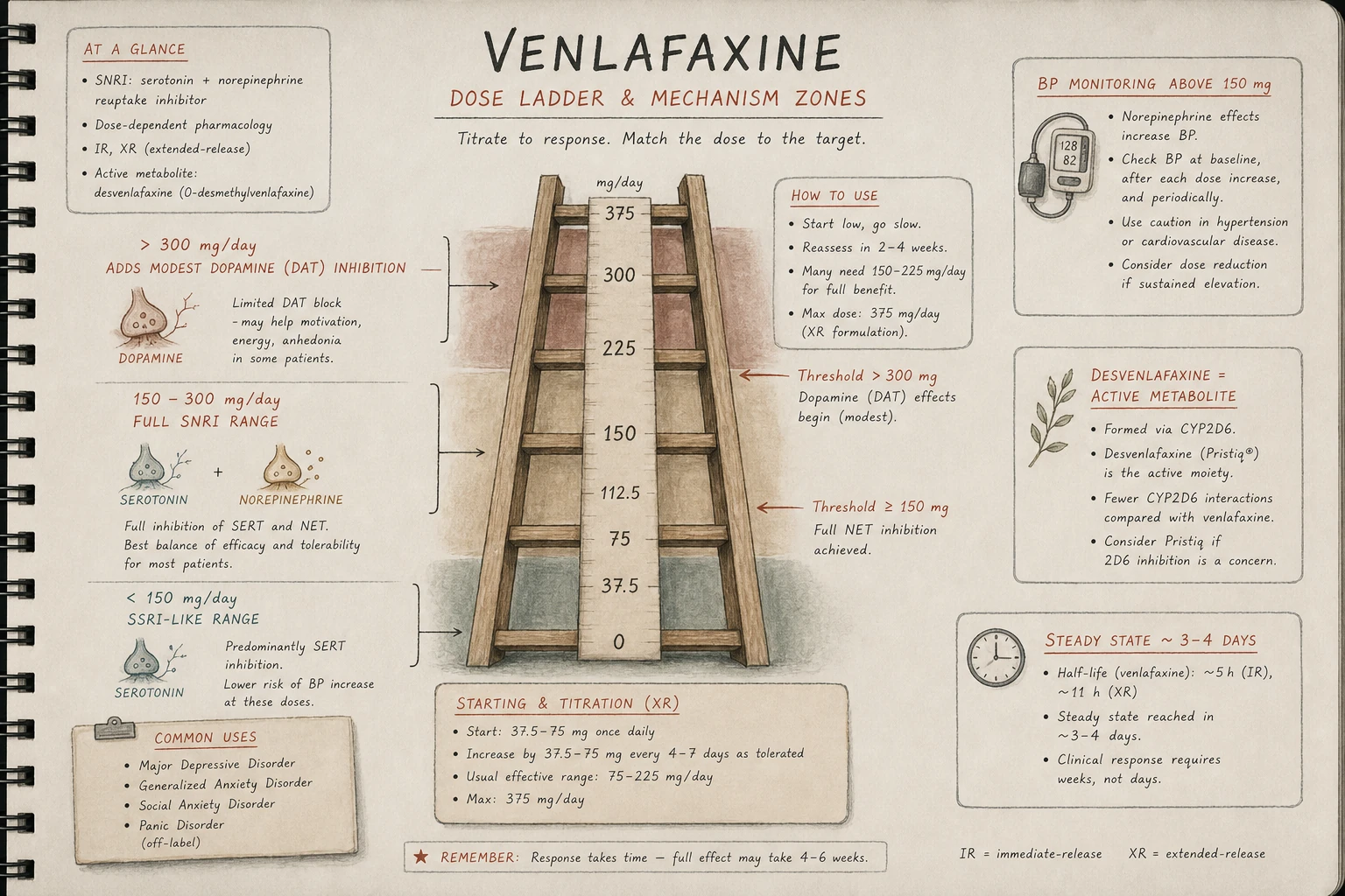 Venlafaxine has dose-dependent mechanism: at <150 mg primarily SERT (SSRI-like); at 150-300 mg adds NET inhibition (SNRI effect); at >300 mg adds modest DAT activity.