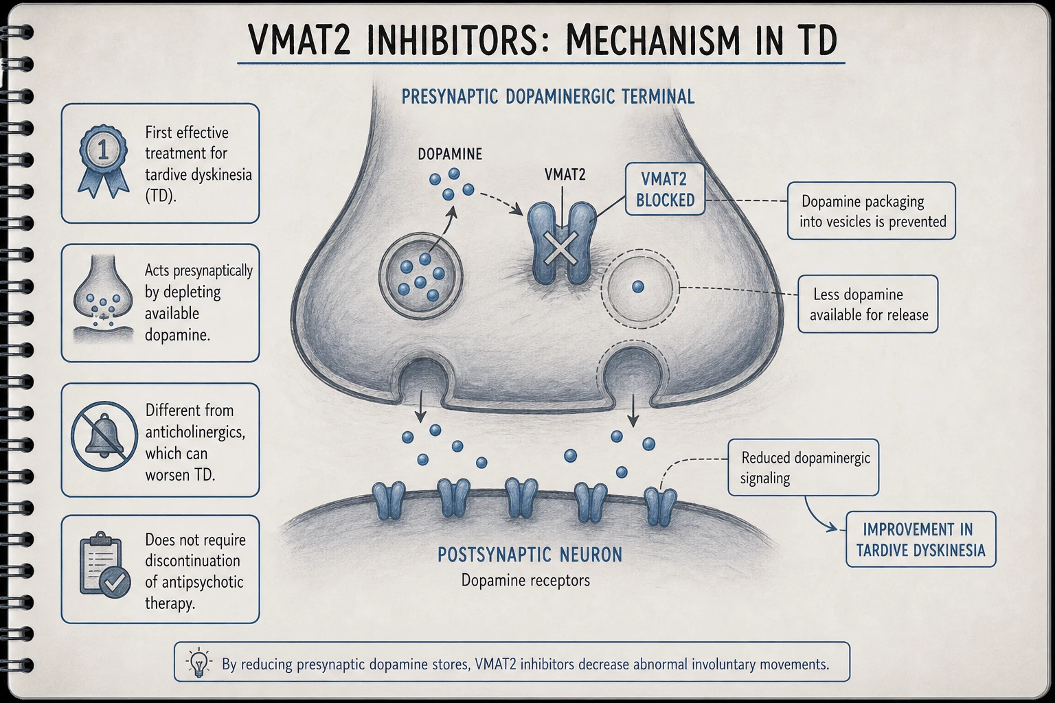 VMAT2 inhibition: blocks packaging of dopamine (and other monoamines) into synaptic vesicles → less DA available for release → reduced dopaminergic signaling. Treats hyperkinetic movements without permanent receptor blockade.