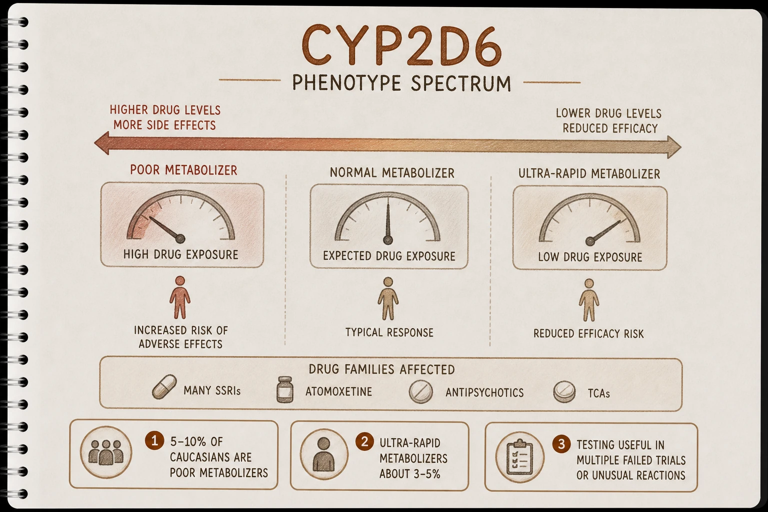 CYP2D6 variability: poor metabolizers (5-10% Caucasians) have higher levels and more side effects from CYP2D6 substrates (many SSRIs, atomoxetine, antipsychotics). Ultra-rapid metabolizers (~3-5%) have low levels and reduced efficacy.