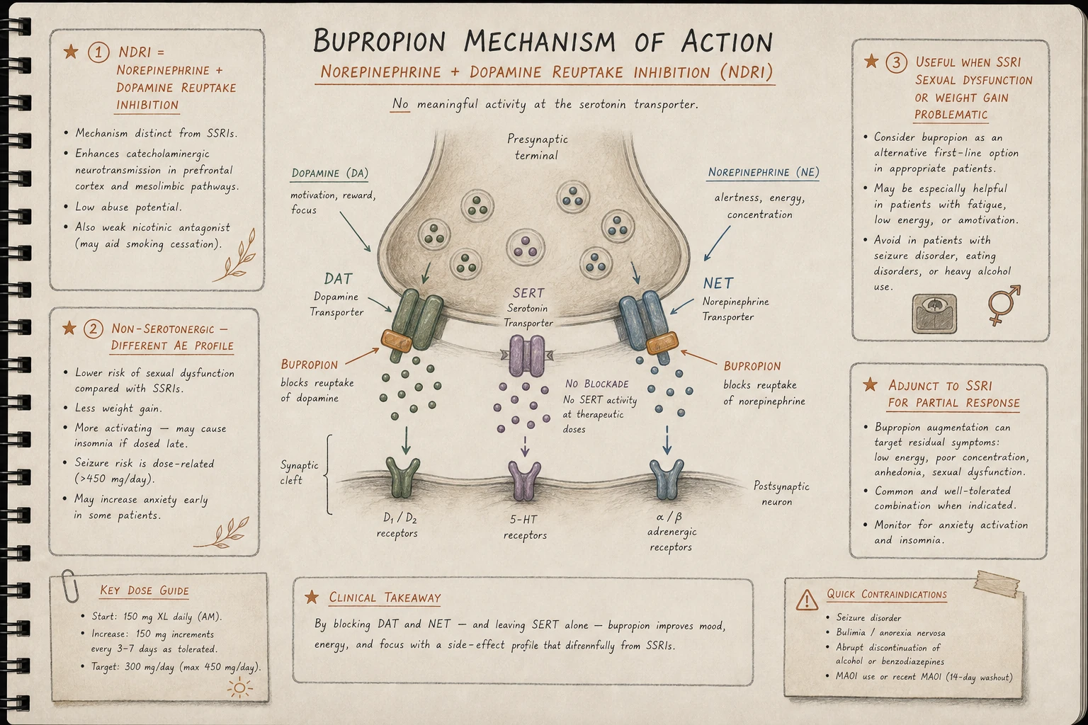 Bupropion: weak NET + DAT reuptake inhibition with no SERT activity. The "non-serotonergic" antidepressant — different side effect profile reflects different synaptic target.