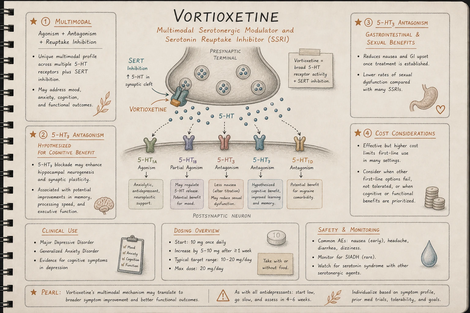 Vortioxetine's multimodal serotonin profile: SERT inhibition combined with selective agonism, partial agonism, and antagonism at distinct 5-HT receptor subtypes.