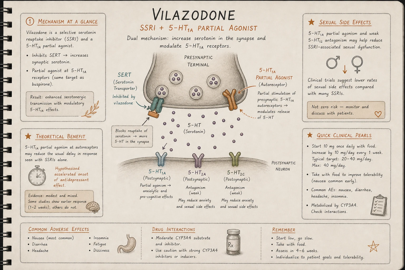 Vilazodone: SSRI mechanism plus 5-HT1A partial agonism (same target as buspirone). Theory: 5-HT1A activation accelerates onset and reduces sexual side effects.