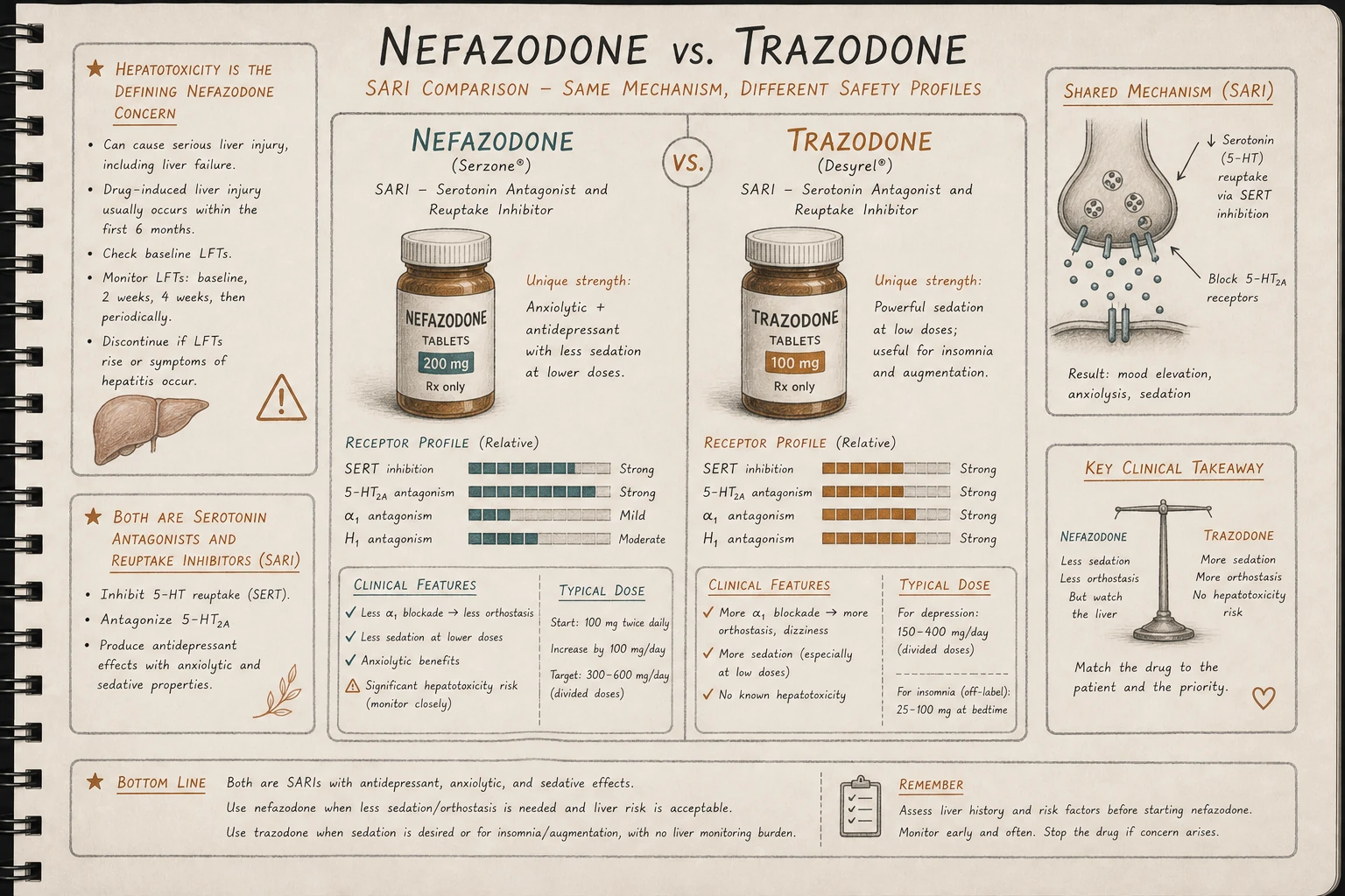 Nefazodone and trazodone share SARI mechanism but differ in alpha-1 blockade (nefazodone less, so less orthostasis) and side effect profile. Hepatotoxicity is unique to nefazodone.