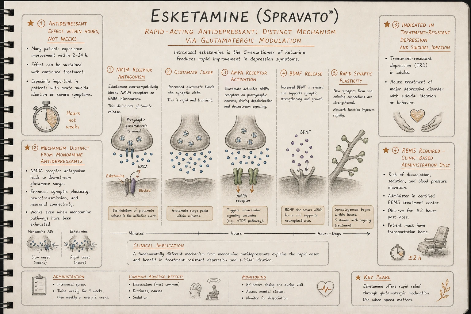 Esketamine's rapid mechanism: NMDA antagonism → glutamate surge → AMPA activation → BDNF release → rapid synaptogenesis. Antidepressant effect emerges within hours rather than weeks.