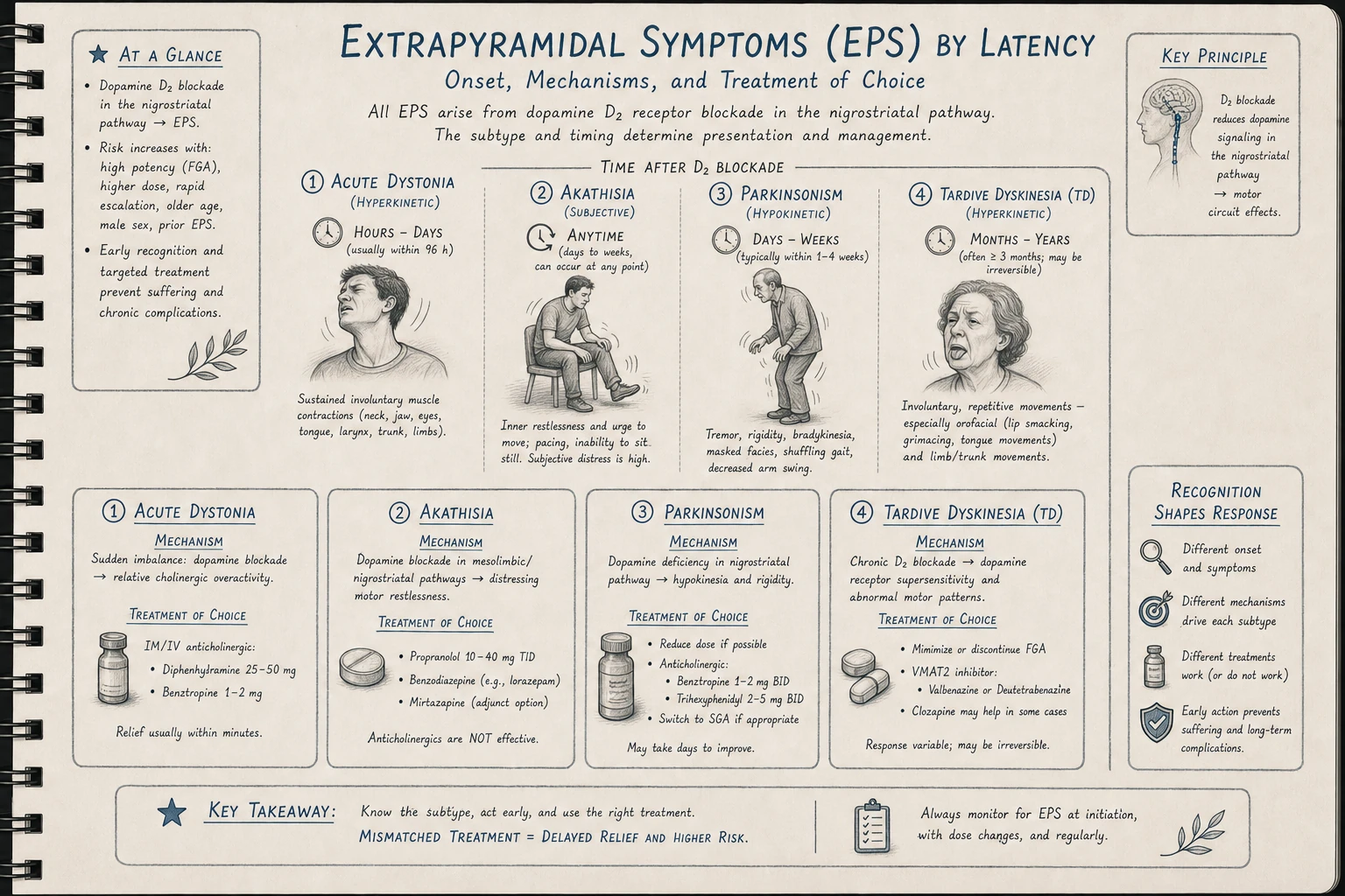 The EPS spectrum across time: acute dystonia (hours-days) → akathisia and parkinsonism (days-weeks) → tardive dyskinesia (months-years). Different mechanisms, different treatments.