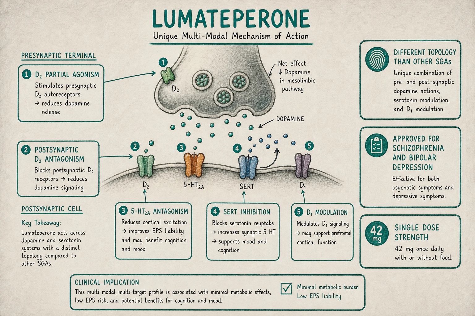 Lumateperone's distinct mechanism: presynaptic D2 partial agonism (autoreceptor effect reducing DA release) + postsynaptic D2 antagonism. Different topology than other antipsychotics.