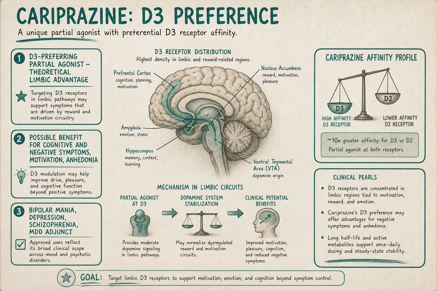 Cariprazine's differentiator: preferential D3 over D2 affinity. D3 receptors concentrated in limbic regions — theoretical advantage for cognitive and negative symptoms, motivation, anhedonia.