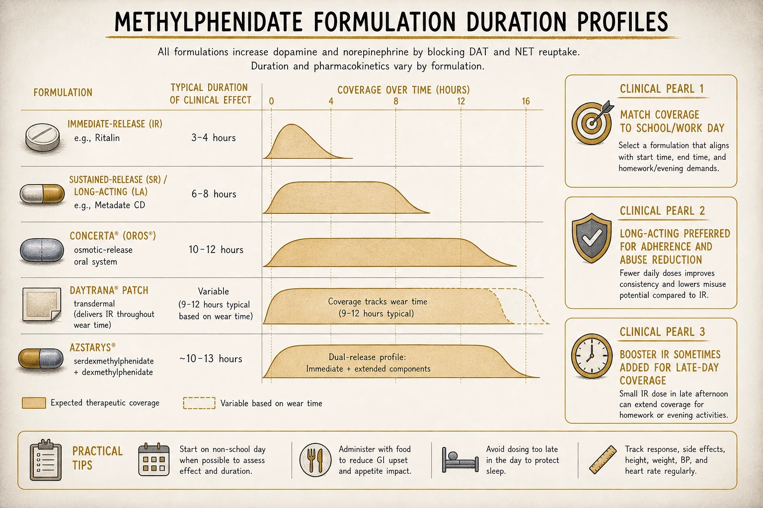 Duration profiles: IR (3-4 hours), SR/LA (6-8 hours), OROS Concerta (10-12 hours), Daytrana patch (variable based on wear time). Clinical fit depends on needed coverage window.